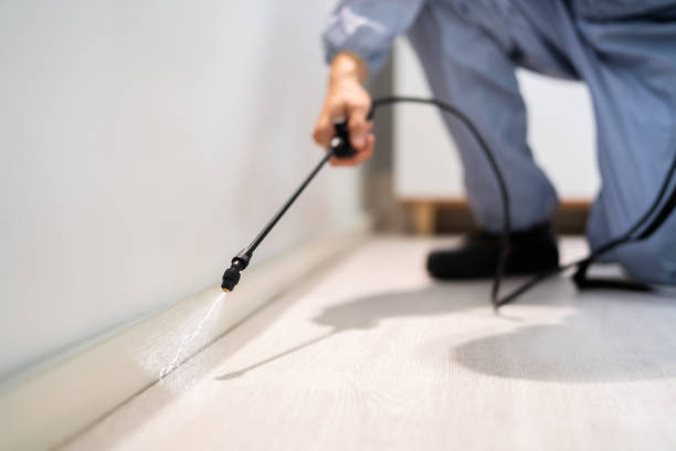 Licensed Cockroach Control service in Andrews, NC - Nex Pest Control