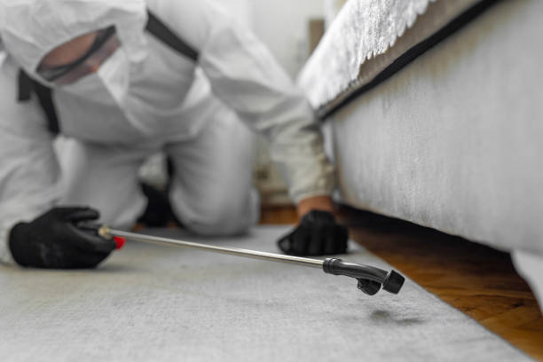 Professional Cockroach Control technician working in Andrews, NC